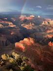 grand%20canyon%20rainbow%20%26%20trees%202%2025.jpg