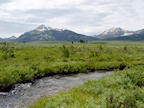 mountain%20meadow%20and%20stream%202%2025.jpg